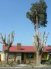 Disa Str - Hermanus - 010_s